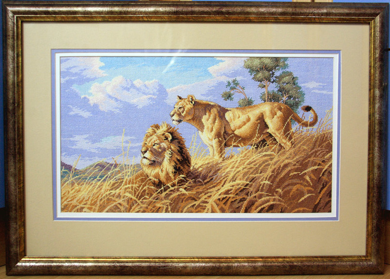 Взлет 72, день 16