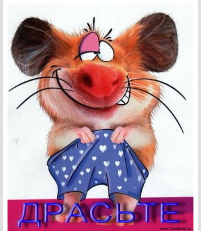 Прикольные картинки)