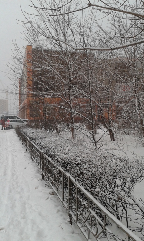 Начало нашей зимы : )