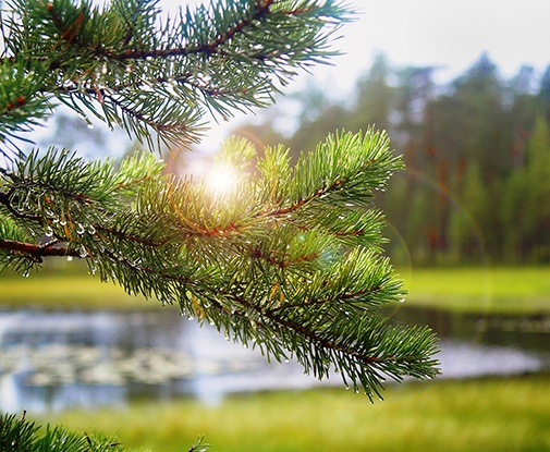 Семейный лагерь в Подмосковье в июле!