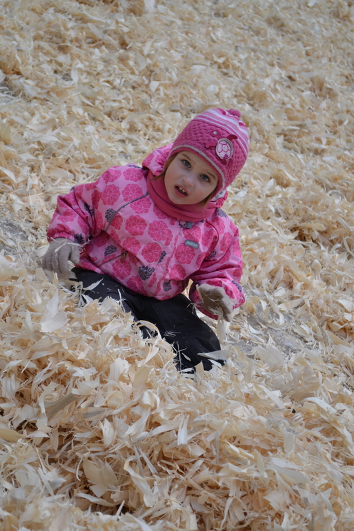 Масленница в зверинце на Поляне Невест, г.Ступино