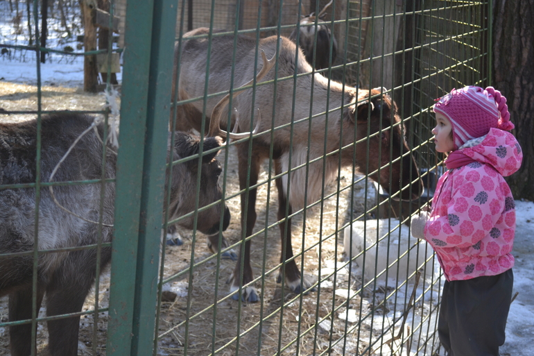 Масленница в зверинце на Поляне Невест, г.Ступино