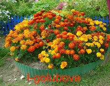 что делать дальше? ))