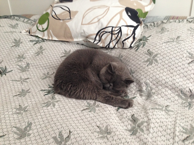 Спальня. Почти все готово