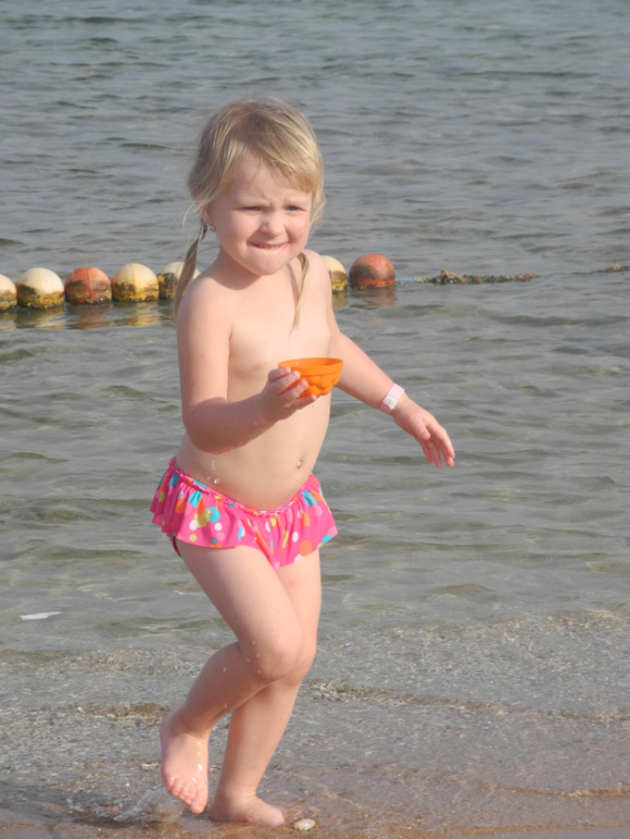 Beach Albatros Garden