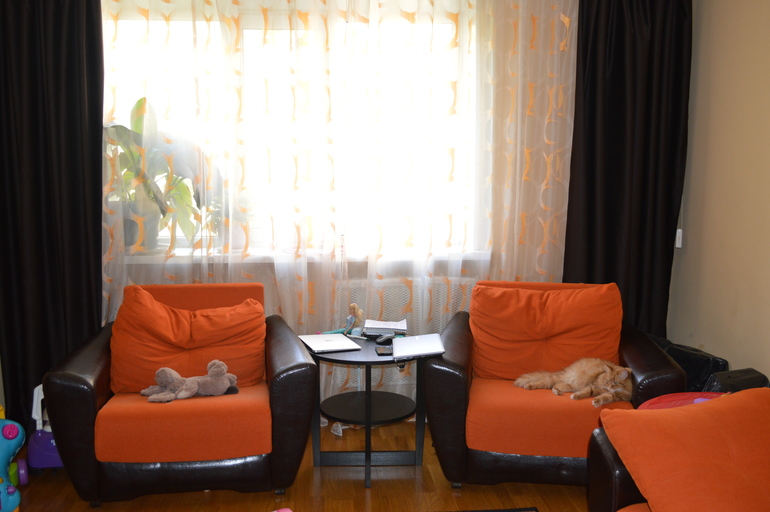 Девчонки, выручайте с выбором цвета гостиной