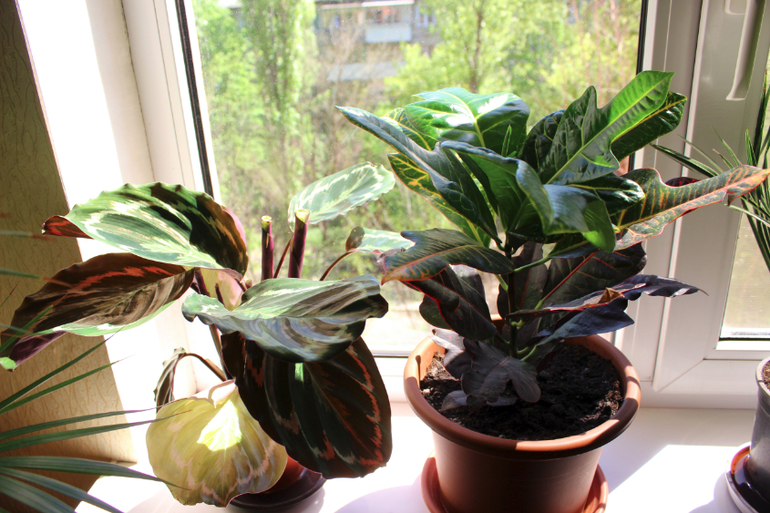 Эволюция продолжается)))