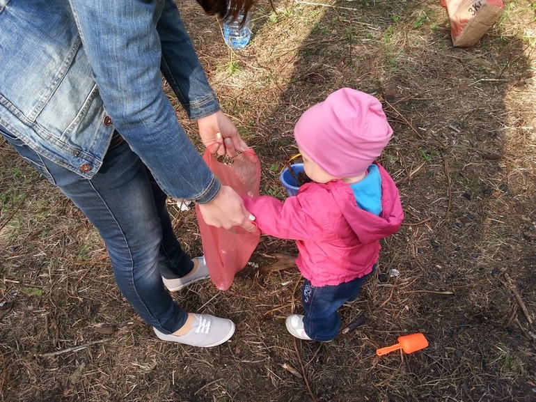 Воскресная прогулка в лесу