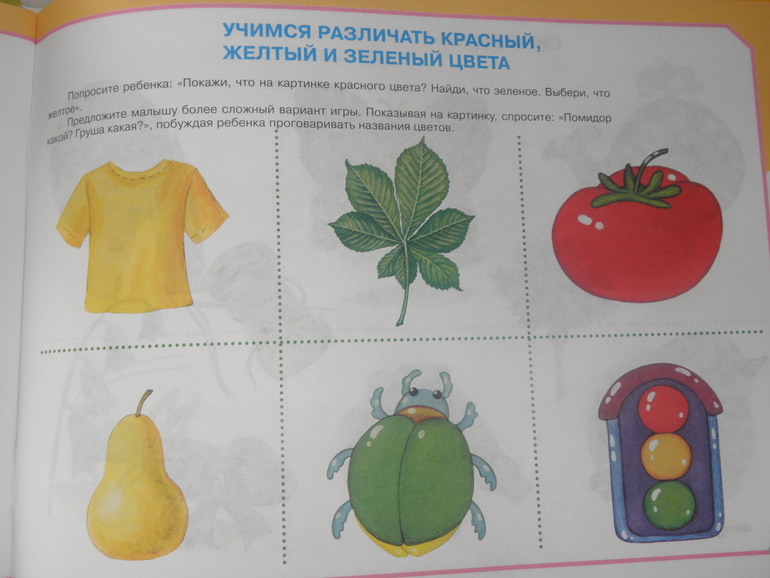 Изучаем зеленый цвет