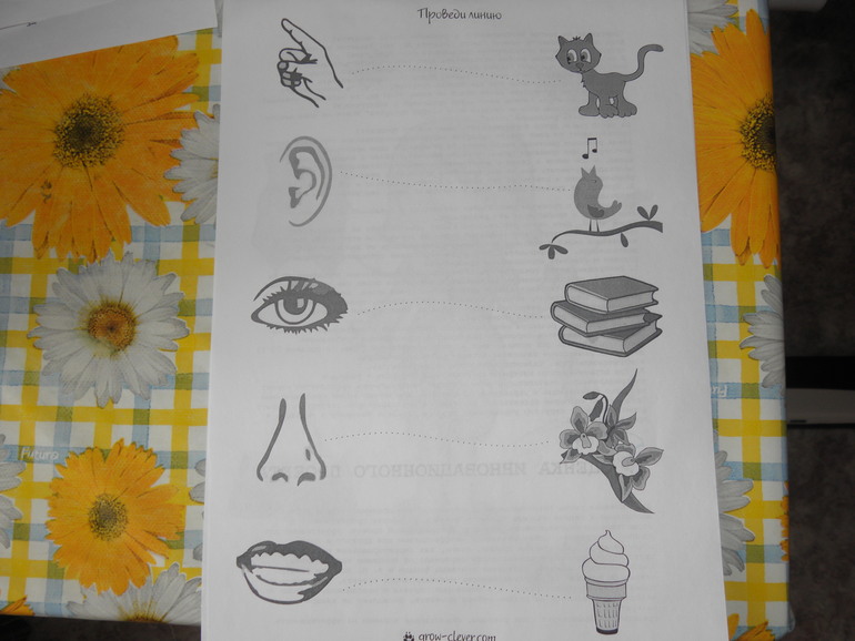 ТН Тело человека