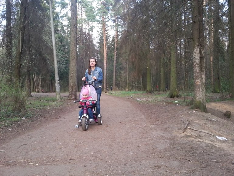 Воскресная прогулка в лесу