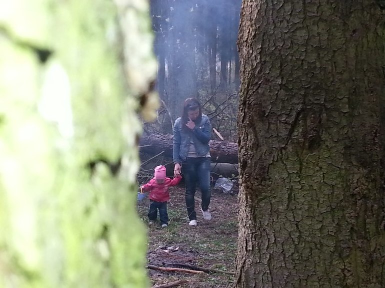 Воскресная прогулка в лесу