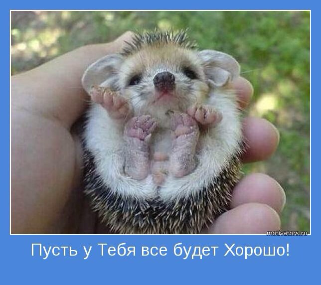 Паровозик, ладушки и сортер