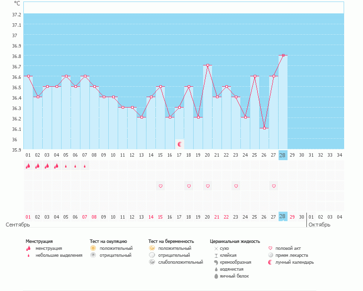Овуляции не было???
