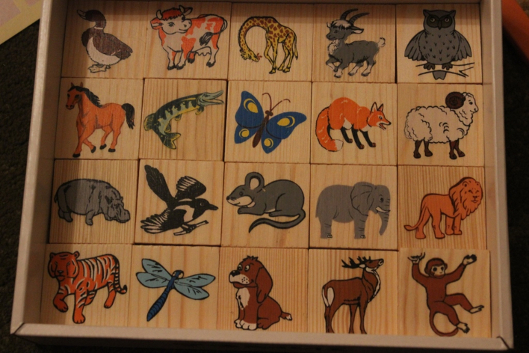 Мир развивающих игрушек. Хвастик)