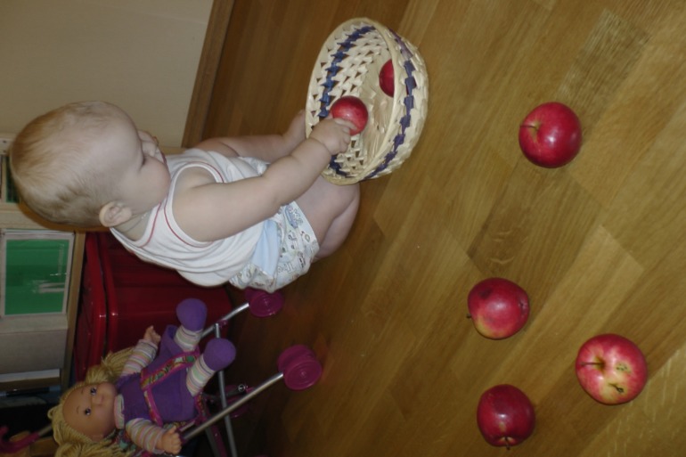 ТН Осень Д.1