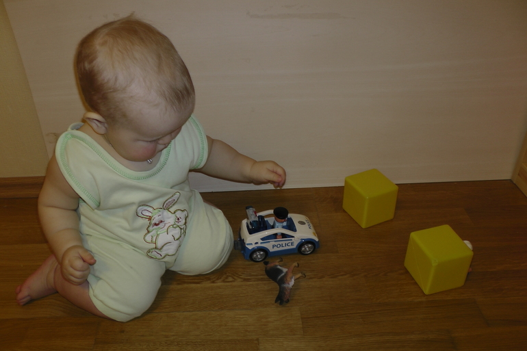 ФМ Домашние животные