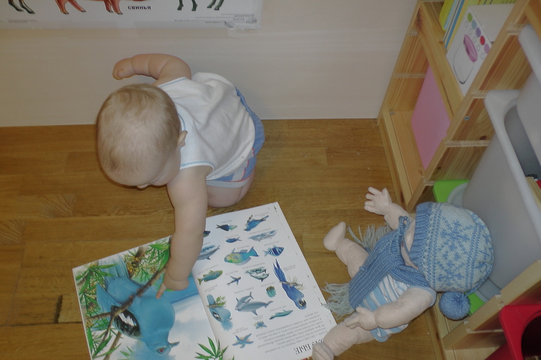 ФМ Цвета - Синий