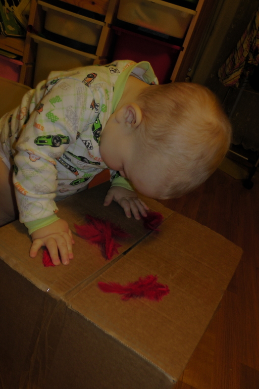 ФМ Цвета - Красный