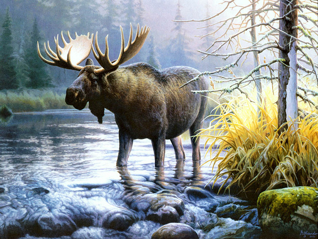 Отчеты тема 