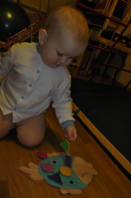 ФМ Домашние животные