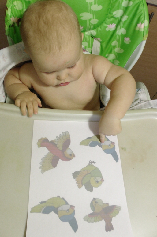 ТН Осень Д.5