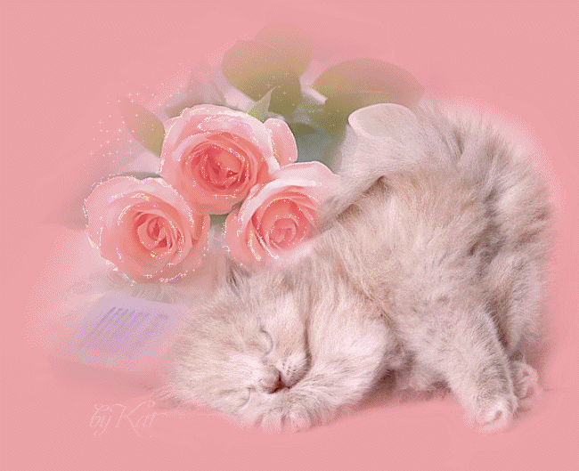 4aa8e058c68d56f8e4e86cb68d62e663.gif