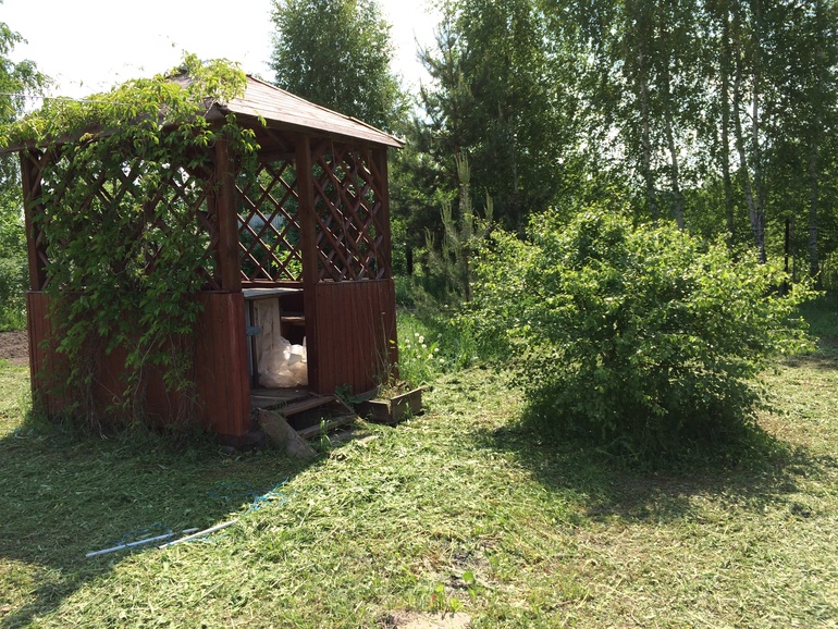 Наша дача. ФОТО