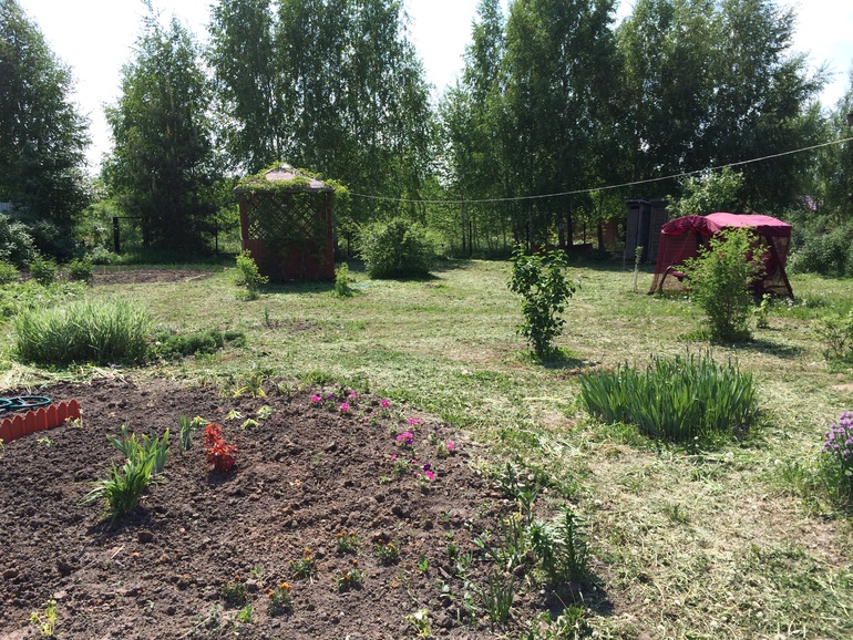 Наша дача. ФОТО