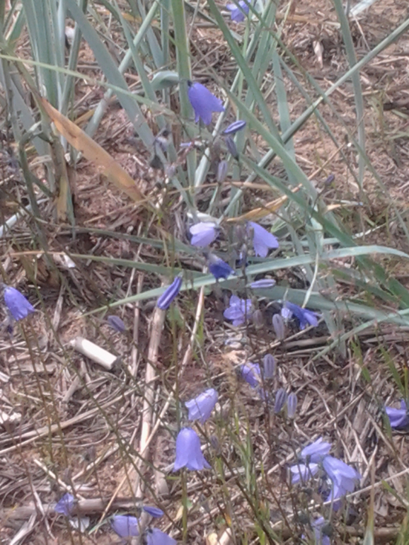 Вот это мы погуляли!!!