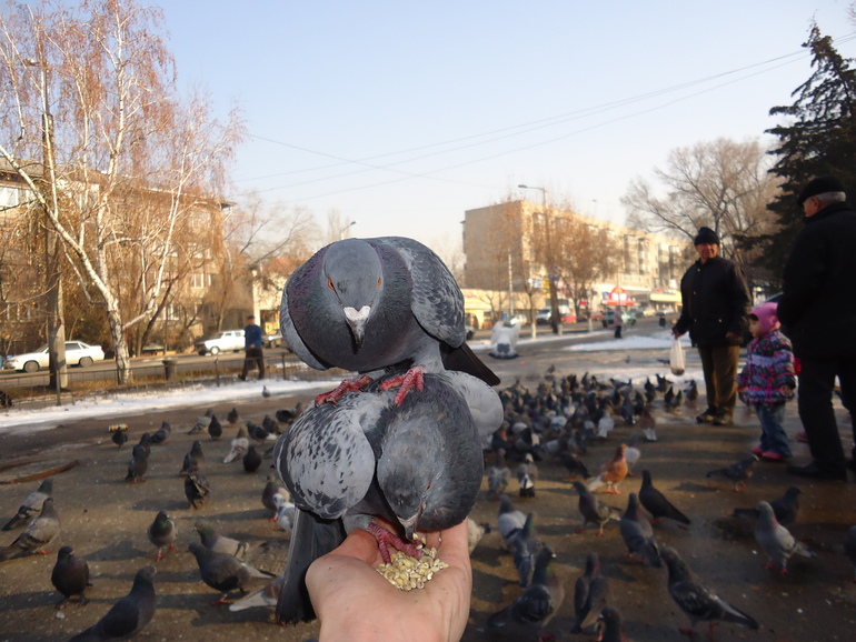 Прогулка )))