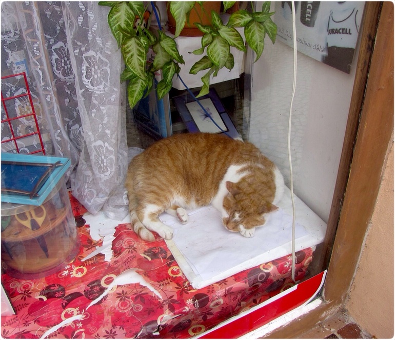 Прага, Чехия. 2009 (дни шестой и седьмой)