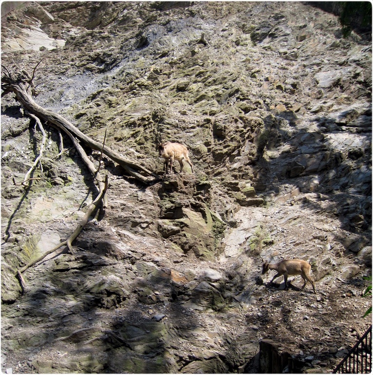 Прага, Чехия. 2009 (день третий)