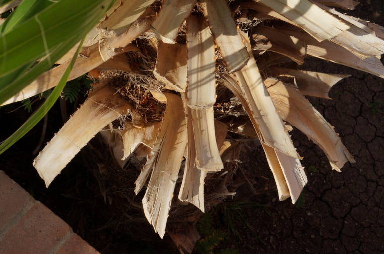 Весна в Хургаде