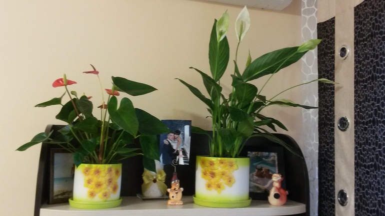 Наконец то теперь и наша история