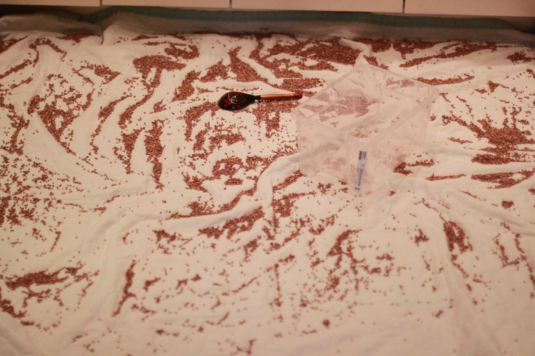 Монтессори-утро -1