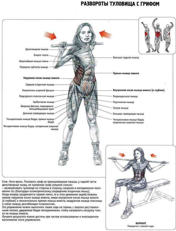 Развороты с грифом на спине, а надо ли?