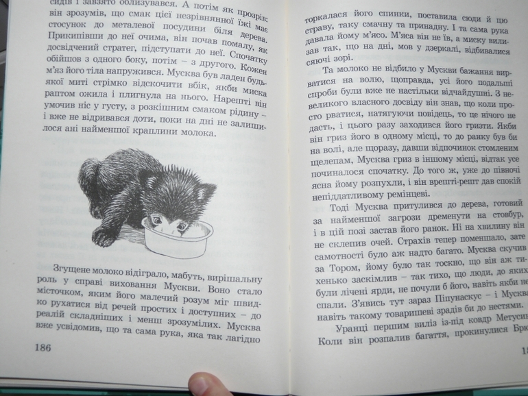 Украинские книги.