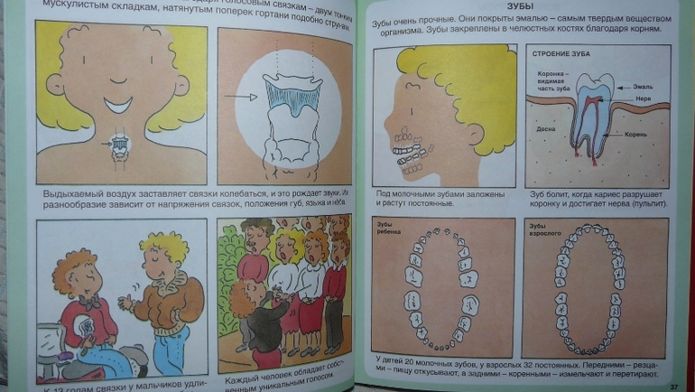 Долгожданное пополнение!