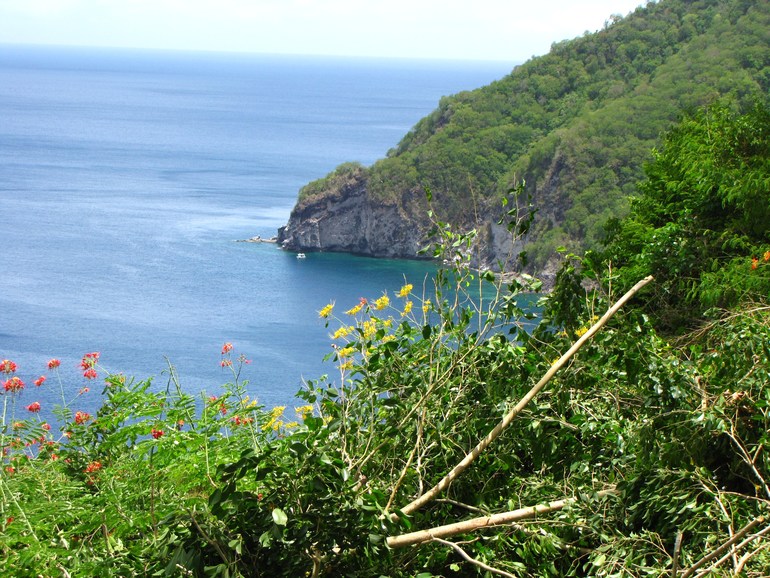 Дорогие мои ,девочки,спасибо вам !!!!!