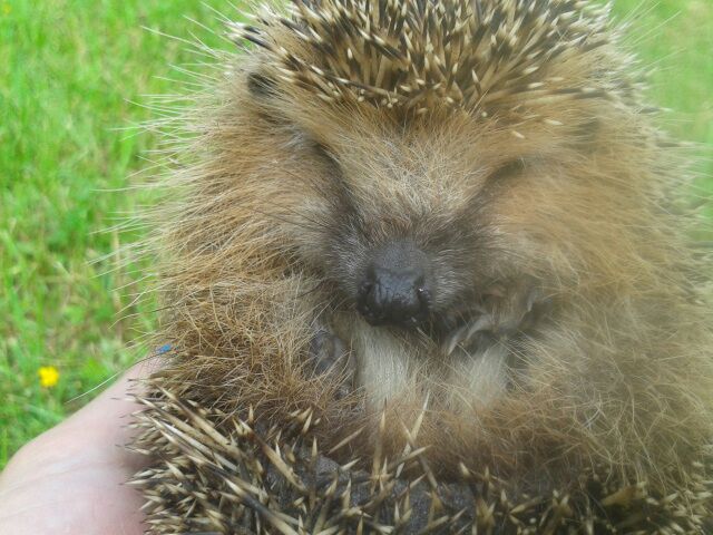 1/3 лета уже прошла...