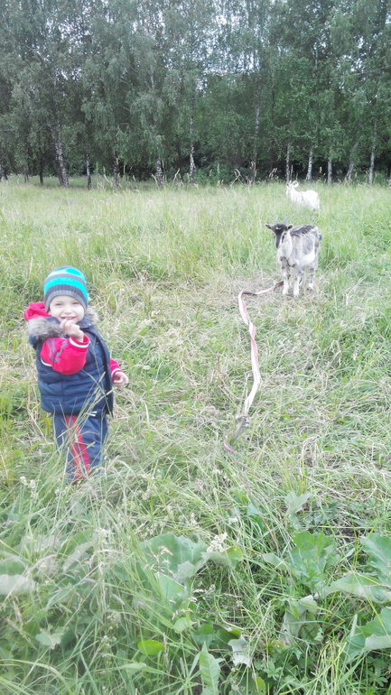 ах это лето))))
