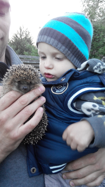 1/3 лета уже прошла...