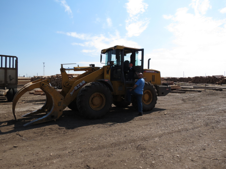 Год и шесть