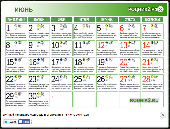 Православный календарь садовода. В какой лунный день лучше начинать лечение. Благоприятный день для начала новых дел. Лунные дни для начала бизнеса.