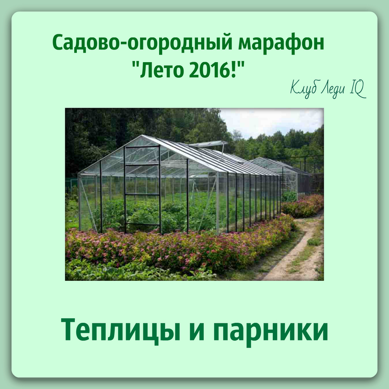 Как сделать мини-парник и стеллаж для рассады в квартире своими руками