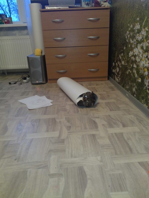 Кени и ватман)