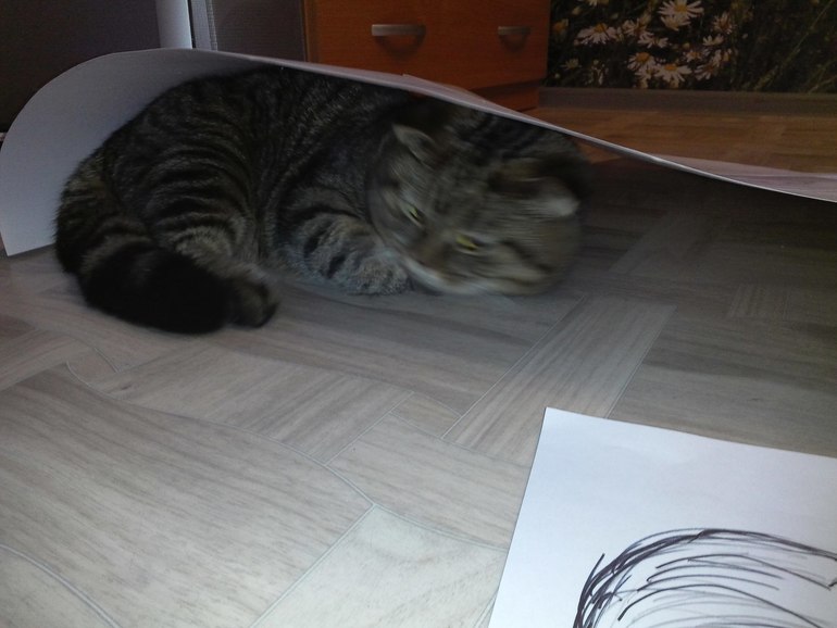 Кени и ватман)