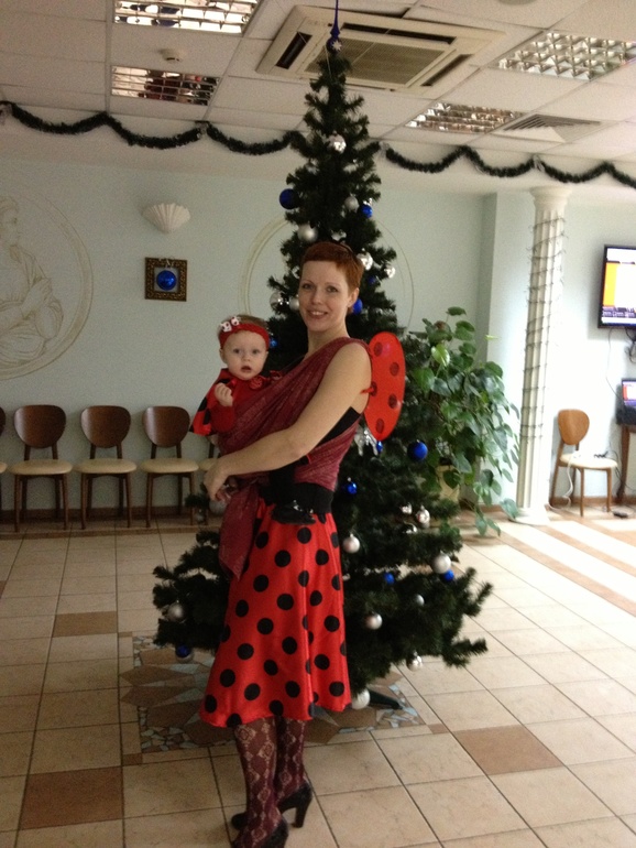 Бургундские коровки