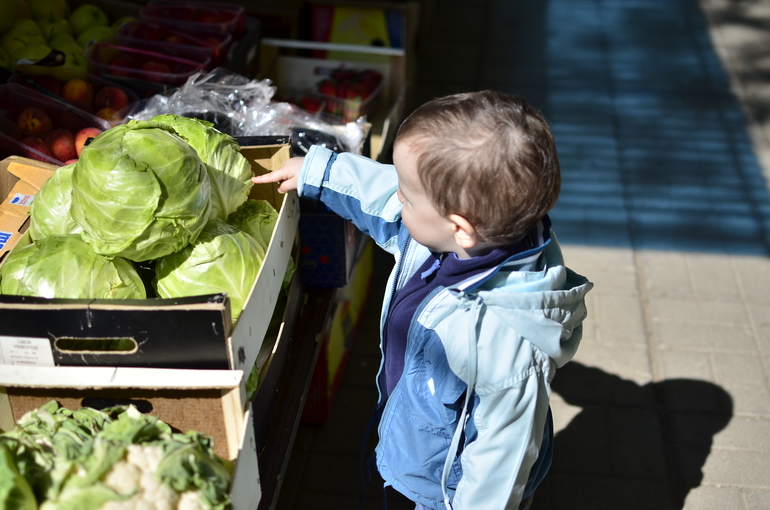 Как мы изучали овощи и фрукты